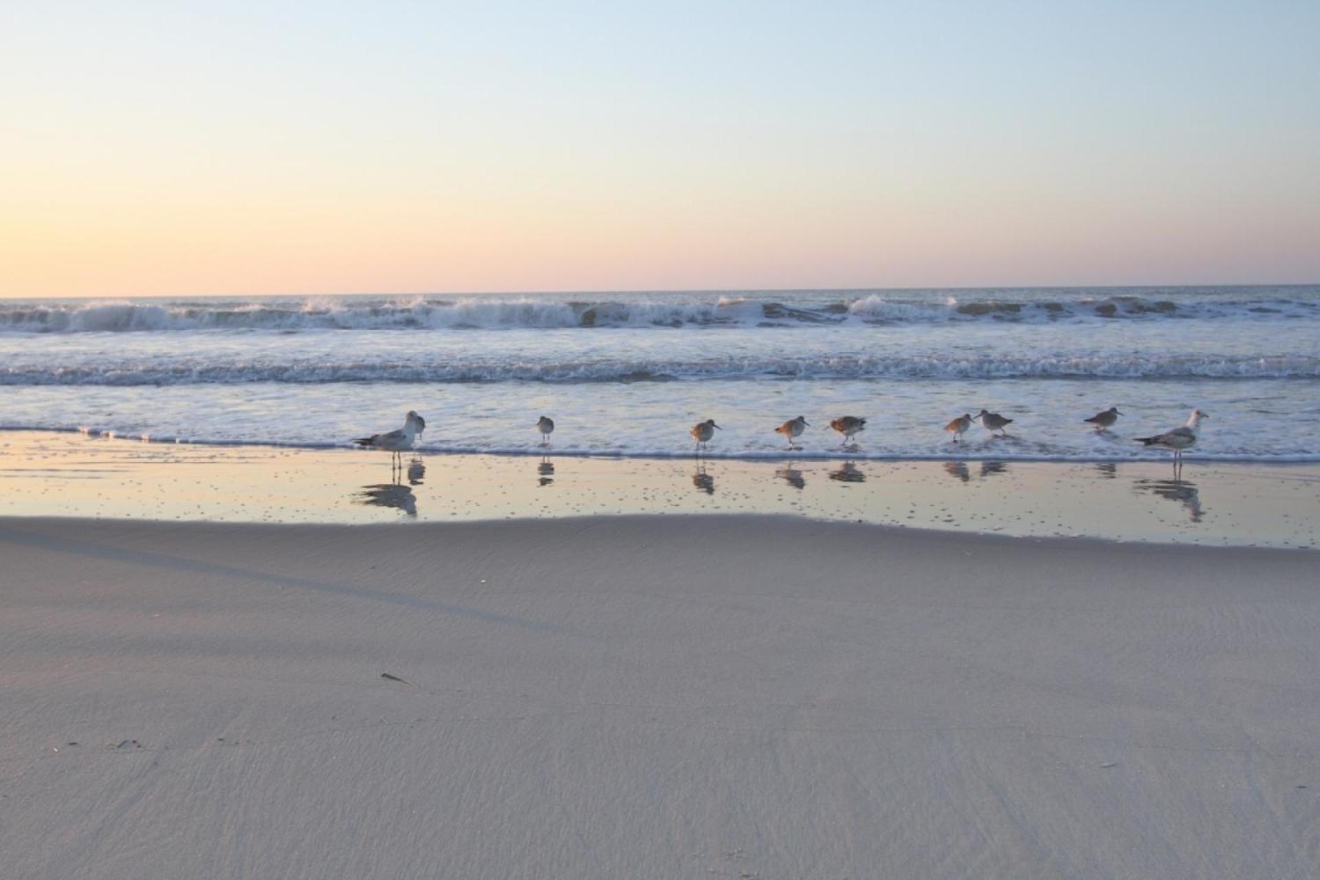 Vila Just Beachy Isle of Palms Exteriér fotografie